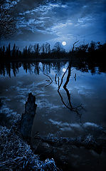 photo "Dreams of the old lake"