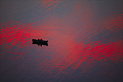photo "* * *"