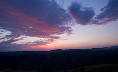 photo "Following the Sun"