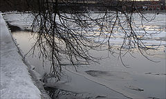 фото "Вечерний свет"