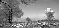 photo "Winter morning"