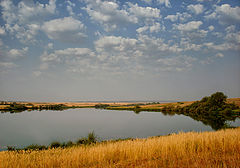 фото "..жара.."