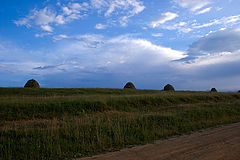 photo "Alpine meadow in August"
