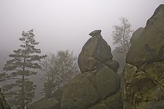 photo "***"