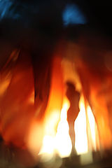 photo "***"
