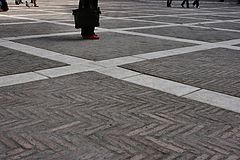 photo "Captured by cells"
