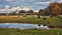 фото "Пастораль"