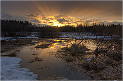 photo "***"