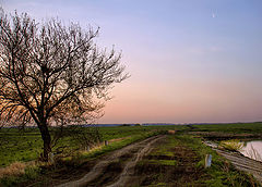 photo ".. track in the spring .."