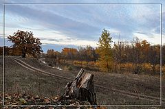 photo "Autumn road"