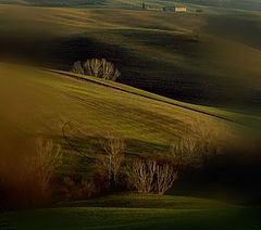 photo "***"