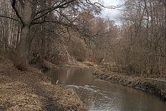 photo "***"