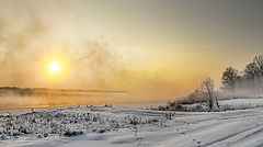 фото "Желтый туман"