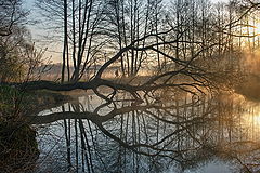 photo "***"