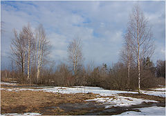 photo "***"