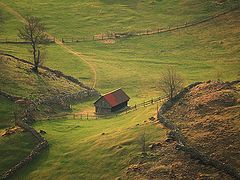 photo "Sirnea"