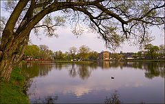 photo "An Evening Pond"