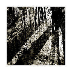 photo "***"
