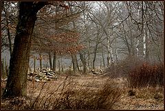 photo "***"