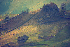 photo "..."