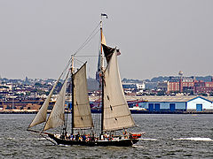 фото "New York Harbor"