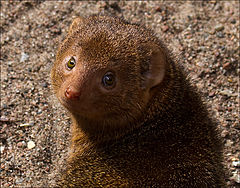 photo "Who's here ?"