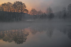 photo "***"