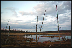 фото "Белая ночь"