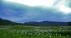 photo "***"
