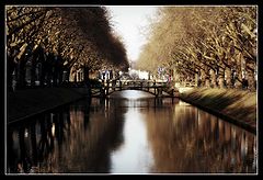 фото "Dusseldorf"