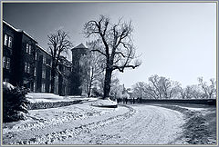 фото "Krakov 3336"