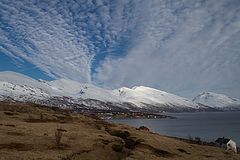 photo "Lyngen, Troms"