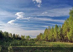 photo "Warm May evening"