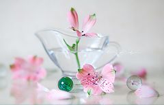 photo "***"