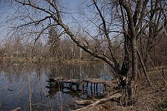 photo "***"