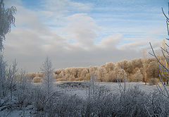 фото "Зимние прогулки"