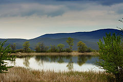 photo "***"