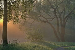 photo "***"