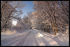 фото "Один зимний день"