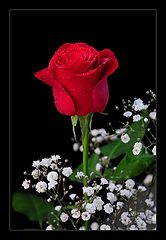 photo "***"
