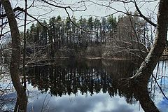 photo "***"