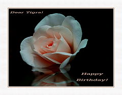 photo "***"