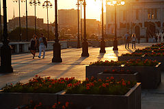 photo "***"