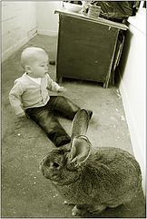 фото "Малыш и кролик, который живет на балконе."