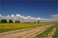 фото "Эх, дороги..."