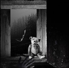 фото "Return of innocence..."