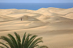 photo "Well, where is the sea?"