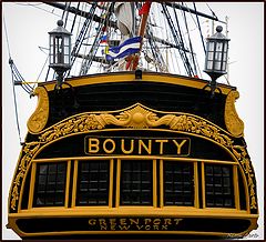 photo "Bounty"