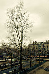 photo "***"