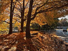 фото "Autumn"